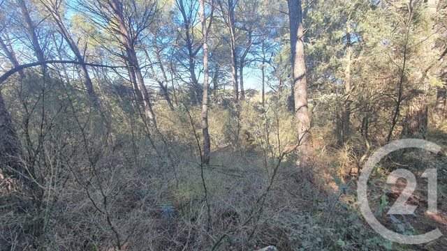 Afficher la photo en grand terrain à vendre - 2300.0 m2 - VENEJAN - 30 - LANGUEDOC-ROUSSILLON - Century 21 La Big