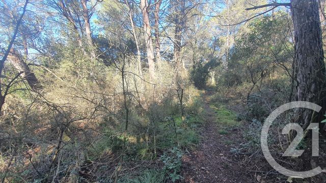 Afficher la photo en grand terrain à vendre - 2300.0 m2 - VENEJAN - 30 - LANGUEDOC-ROUSSILLON - Century 21 La Big
