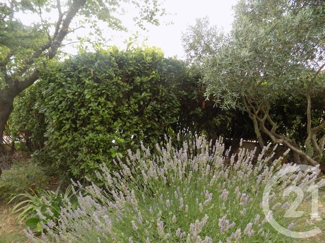 appartement à louer - 2 pièces - 45.0 m2 - CONNAUX - 30 - LANGUEDOC-ROUSSILLON - Century 21 La Big appartement à louer - 2 pièces - 45.0 m2 - CONNAUX - 30 - LANGUEDOC-ROUSSILLON - Century 21 La Big