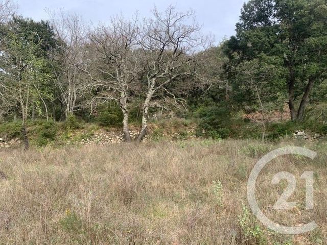 terrain à vendre - 1946.0 m2 - LA ROQUE SUR CEZE - 30 - LANGUEDOC-ROUSSILLON - Century 21 La Big