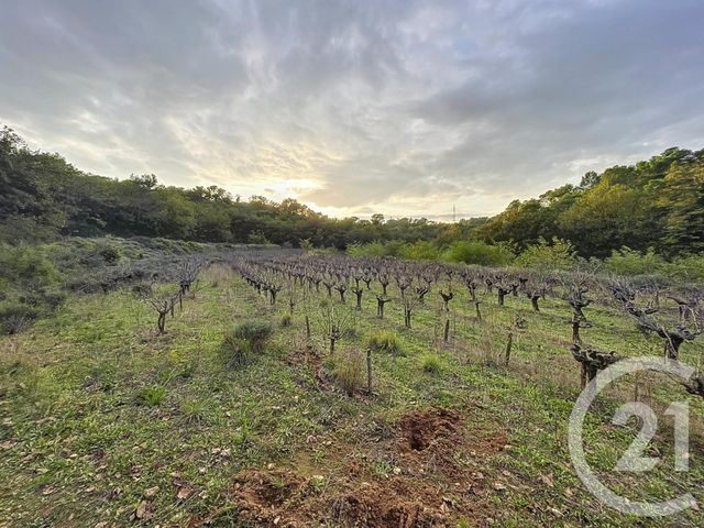 terrain à vendre - 19970.0 m2 - ST NAZAIRE - 30 - LANGUEDOC-ROUSSILLON - Century 21 La Big