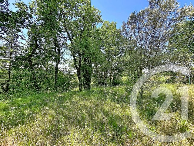 maison à vendre - 6 pièces - 133.63 m2 - ST PAULET DE CAISSON - 30 - LANGUEDOC-ROUSSILLON - Century 21 La Big