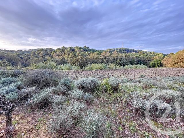 terrain à vendre - 19970.0 m2 - ST NAZAIRE - 30 - LANGUEDOC-ROUSSILLON - Century 21 La Big