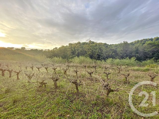 terrain à vendre - 19970.0 m2 - ST NAZAIRE - 30 - LANGUEDOC-ROUSSILLON - Century 21 La Big