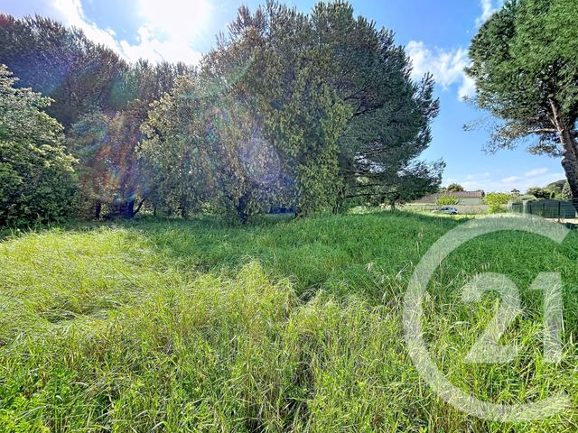 terrain à vendre - 2770.0 m2 - BAGNOLS SUR CEZE - 30 - LANGUEDOC-ROUSSILLON - Century 21 La Big
