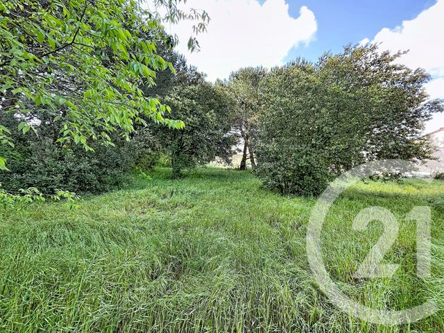 terrain à vendre - 2770.0 m2 - BAGNOLS SUR CEZE - 30 - LANGUEDOC-ROUSSILLON - Century 21 La Big