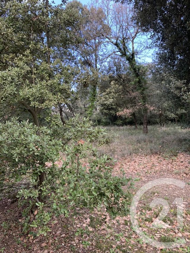 Appartement à louer - 2 pièces - 550.0 m2 - GAUJAC - 30 - LANGUEDOC-ROUSSILLON - Century 21 La Big