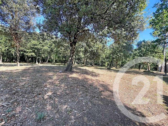 maison à vendre - 2 pièces - 29.26 m2 - GAUJAC - 30 - LANGUEDOC-ROUSSILLON - Century 21 La Big